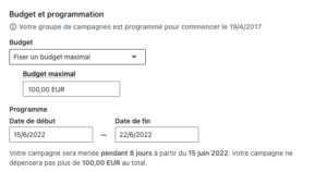 Budget maximal LinkedIn