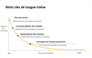 mots clés de longue traine